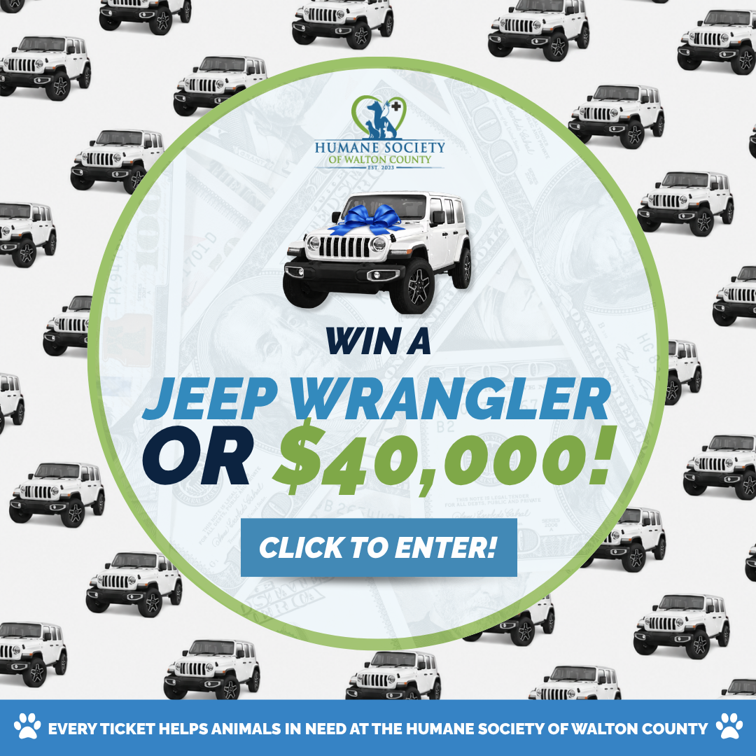 Jeep Raffle
